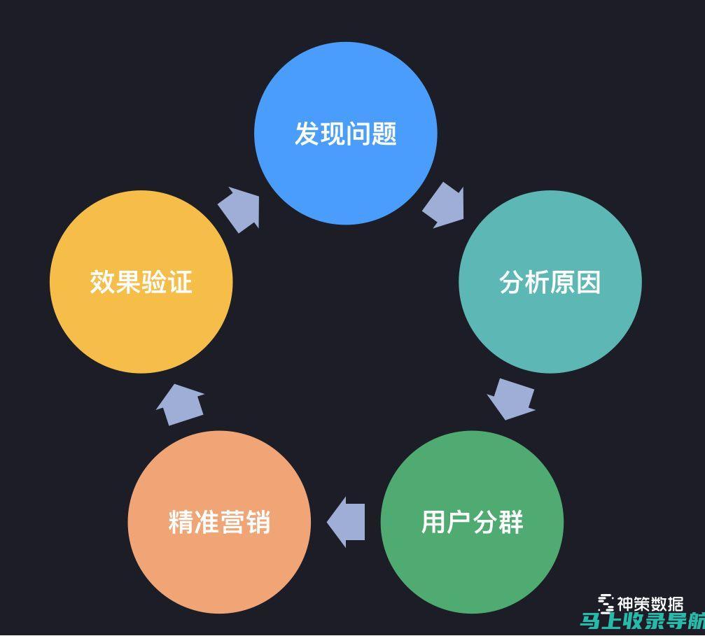 数据驱动决策：站长如何运用统计工具管理视频网站流量与用户行为